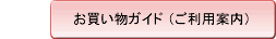 ���������K�C�h�i�����p�ē��j